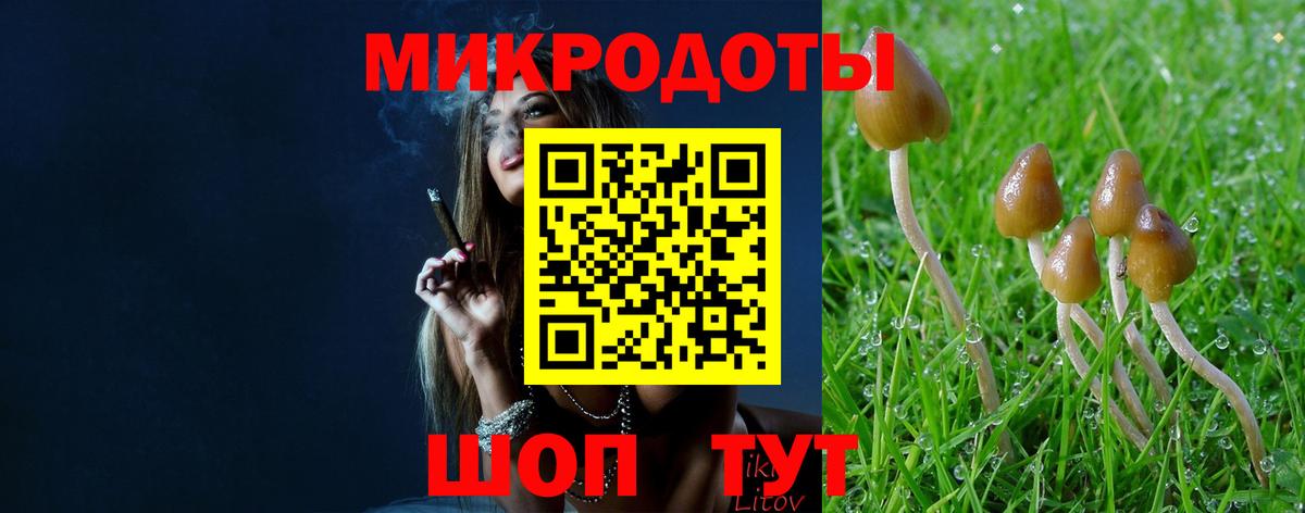 Галлюциногенные грибы мицелий  Вход с VPN  Псилоцибиновые грибы Psilocybe  продажа наркотиков  Батайск 